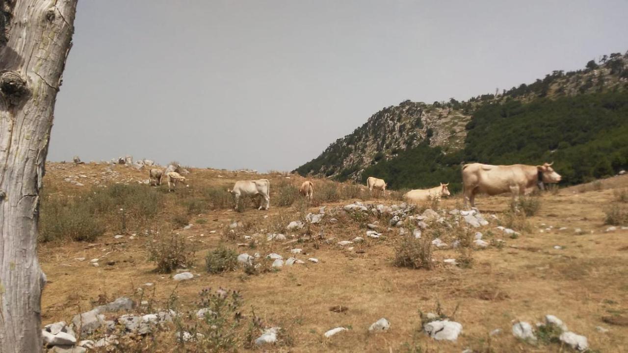 Mille E Una Notte San Severino Lucano Exterior foto